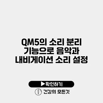 QM5의 소리 분리 기능으로 음악과 내비게이션 소리 설정
