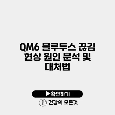 QM6 블루투스 끊김 현상 원인 분석 및 대처법