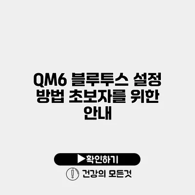 QM6 블루투스 설정 방법 초보자를 위한 안내