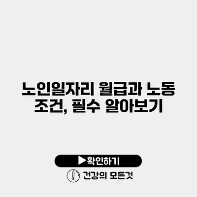 노인일자리 월급과 노동 조건, 필수 알아보기