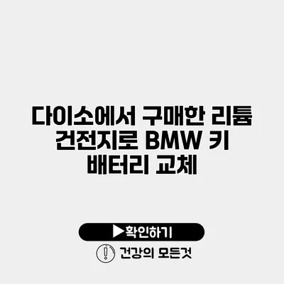 다이소에서 구매한 리튬 건전지로 BMW 키 배터리 교체
