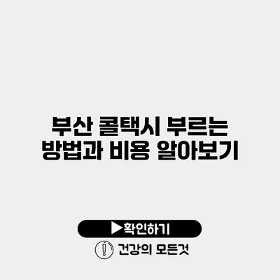부산 콜택시 부르는 방법과 비용 알아보기