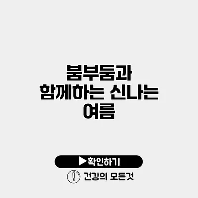 붐부둠과 함께하는 신나는 여름