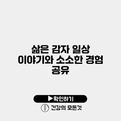 삶은 감자 일상 이야기와 소소한 경험 공유