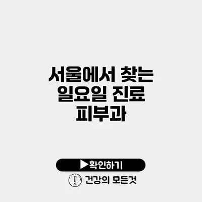 서울에서 찾는 일요일 진료 피부과