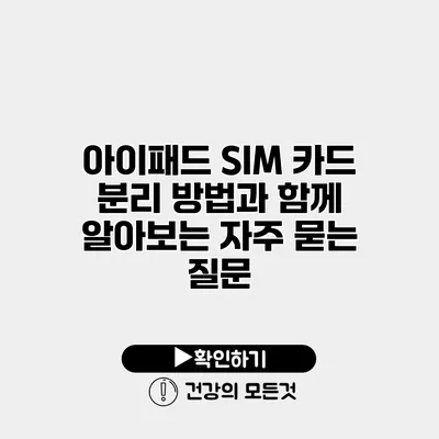 아이패드 SIM 카드 분리 방법과 함께 알아보는 자주 묻는 질문
