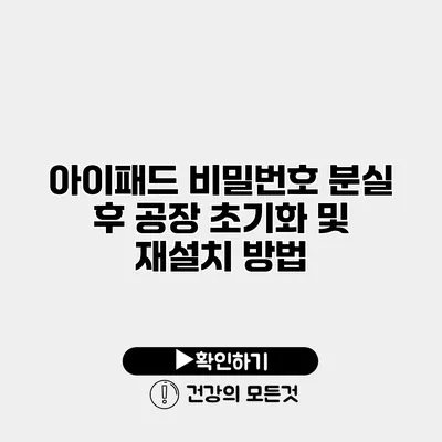 아이패드 비밀번호 분실 후 공장 초기화 및 재설치 방법