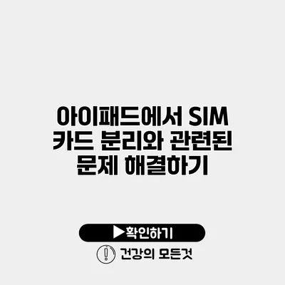 아이패드에서 SIM 카드 분리와 관련된 문제 해결하기