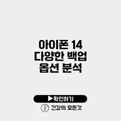 아이폰 14 다양한 백업 옵션 분석