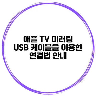 애플 TV 미러링 USB 케이블을 이용한 연결법 안내