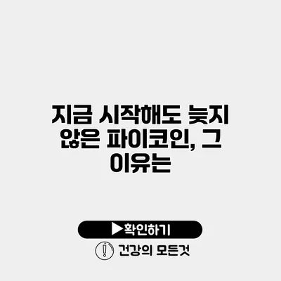 지금 시작해도 늦지 않은 파이코인, 그 이유는?