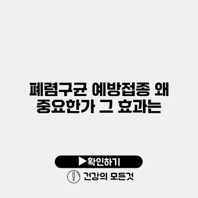 폐렴구균 예방접종 왜 중요한가? 그 효과는?